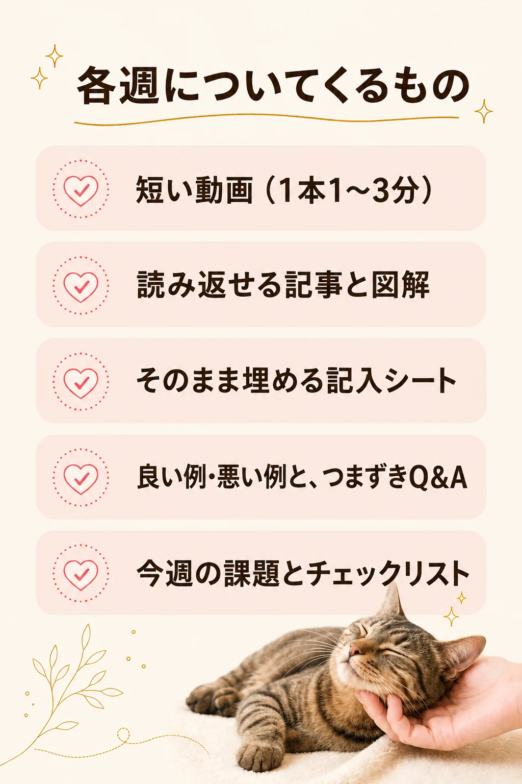 各週についてくるもの